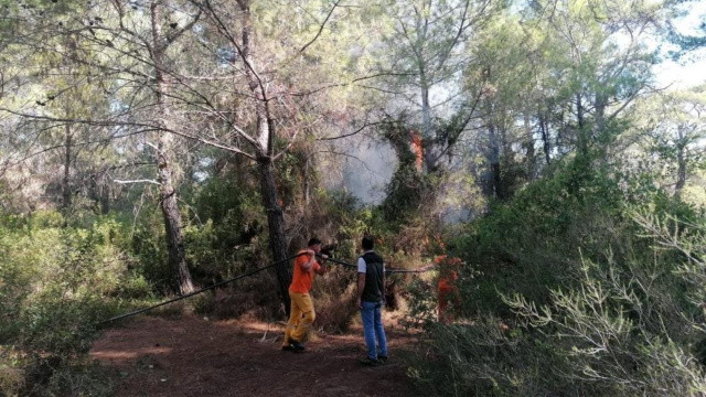 Manavgat'ta orman yakan şüpheli hakkında rekor ceza görseli