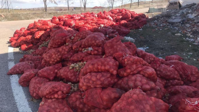 Ankara'da çuval çuval soğan yol kenarına atıldı görseli
