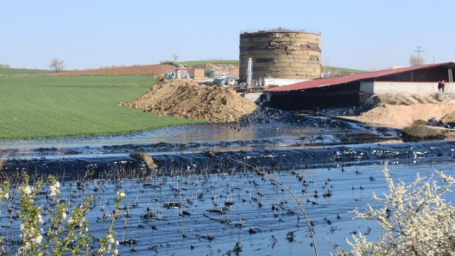 Edirne'de yakıt kazanı patladı: Tonlarca yakıt çevreye yayıldı görseli