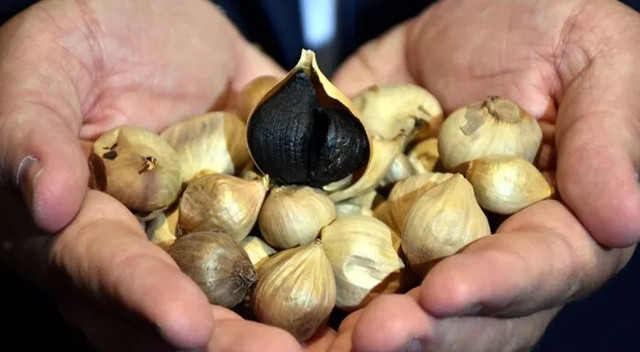 Sarımsağı dönüştürdü, kilosunu 25 liradan 2 bin Euro'ya çıkarttı görseli