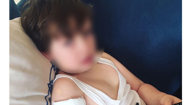 Sokak köpekleri 5 yaşındaki çocuğa dehşeti yaşattı görseli