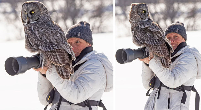 Yaban hayatı fotoğrafçısı: Çekim yaparken fotoğraf makinesine baykuş kondu görseli