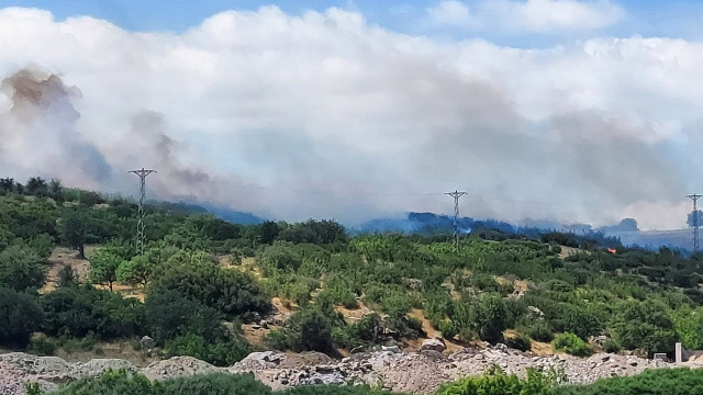 Çanakkale Ezine'de orman yangını çıktı, havadan ve karadan müdahale ediliyor görseli