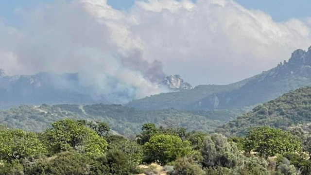 KKTC’de 3 noktada çıkan orman yangını, evlerin bahçesine kadar geldi görseli