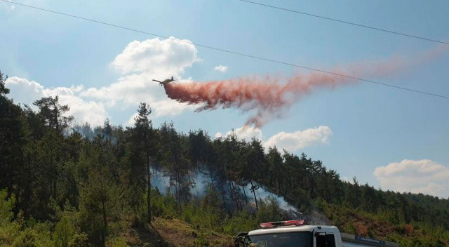 Bursa'da orman yangını: 2 saatte kontrol altına alındı görseli
