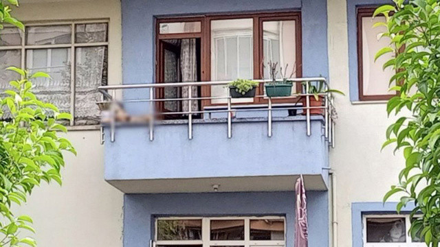 Ailesi şehir dışında olan genç, evinin balkonunda ölü olarak bulundu! görseli