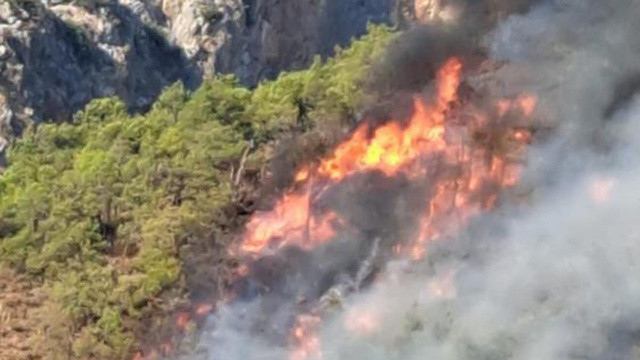Antalya Adrasan'daki orman yangını kontrol altında görseli