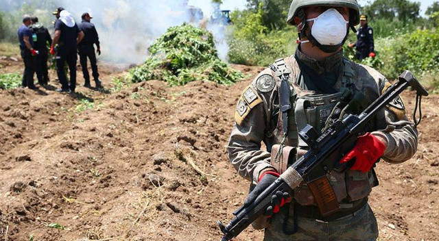 Eren Abluka terörün finans kaynağını kurutuyor! Diyarbakır'da 1 milyon kök kenevir ele geçirildi görseli