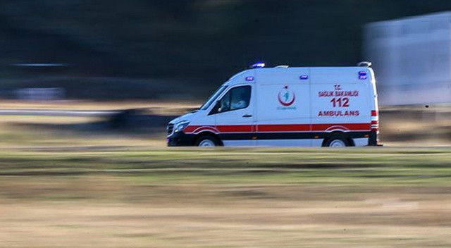 Kuşburnu toplamak için gitti, bastığı arı yuvası sonu oldu! görseli