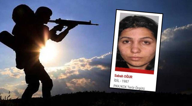 Son dakika haberi... MİT'ten kırmızı listeye bir çizik daha! Orman yangını eylemlerinden sorumlu terörist etkisiz görseli