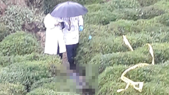Tarlada vahşet! Kuzenini öldüren adam sese gelen karısını da aynı tabancayla katletti görseli