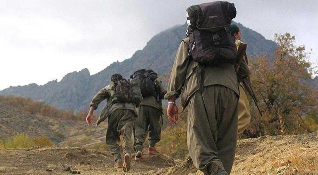 Yunanistan'da eğitim alan PKK/KCK'lı terörist İstanbul'da yakalandı görseli