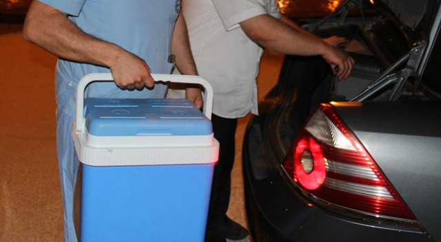 İstanbul'da organ ticareti yapanlara operasyon! Binlerce dolar karşılığında yapacaklardı: 10 tutuklu görseli