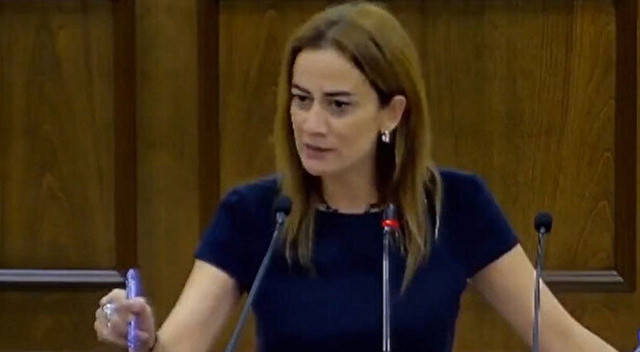 KKTC'li vekilin küstah sözlerine AK Parti'den tepki: Hadsiz sözlerini kınıyoruz görseli