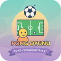 Pong Oyunu